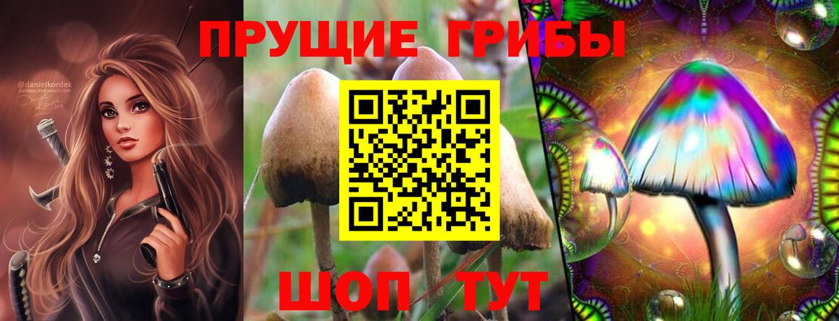 Псилоцибиновые грибы Cubensis  Вход с VPN  Северск 